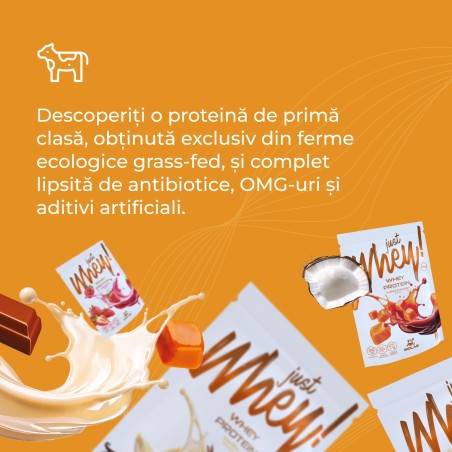 Just Whey! Proteină din zer WPC premium Nutri Whey™, plic 35g