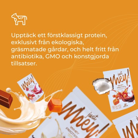 Just Whey! vassleproteinpulver WPC premium Nutri Whey™ smakmix, 10 x 35g
