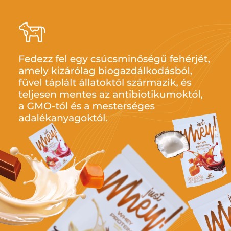 Just Whey! Tejsavó fehérje WPC premium Nutri Whey™ ízkeverék, 10 x 35g