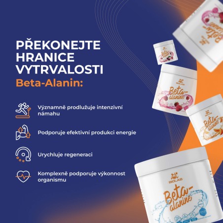 Beta-Alanin v prášku, 500g