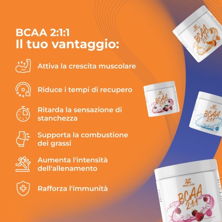 BCAA 2:1:1, complesso di aminoacidi a catena ramificata in polvere 500g