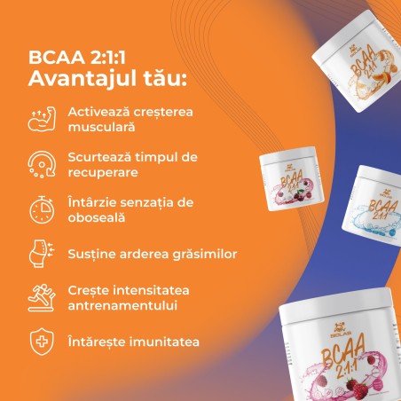 BCAA 2:1:1, complex de aminoacizi cu lanț ramificat pudră 500g