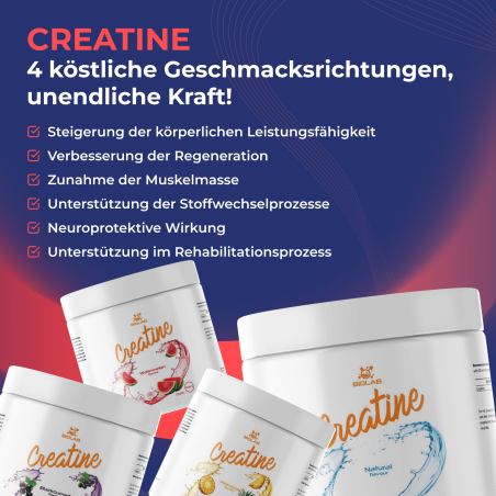 Creatine, mikronisiertes Kreatin-Monohydrat 500g