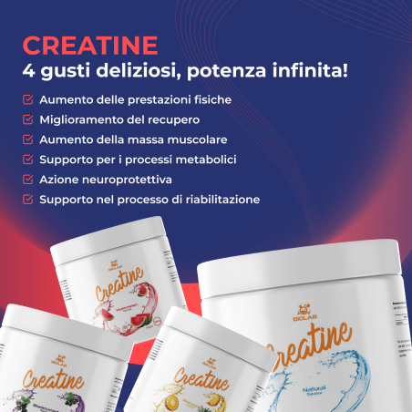 Creatine, monoidrato di creatina micronizzata 500g