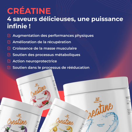 Creatine, monohydrate de créatine micronisée 500g