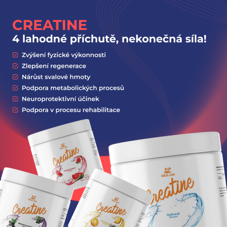 Creatine, mikronizovaný kreatin monohydrát 500g