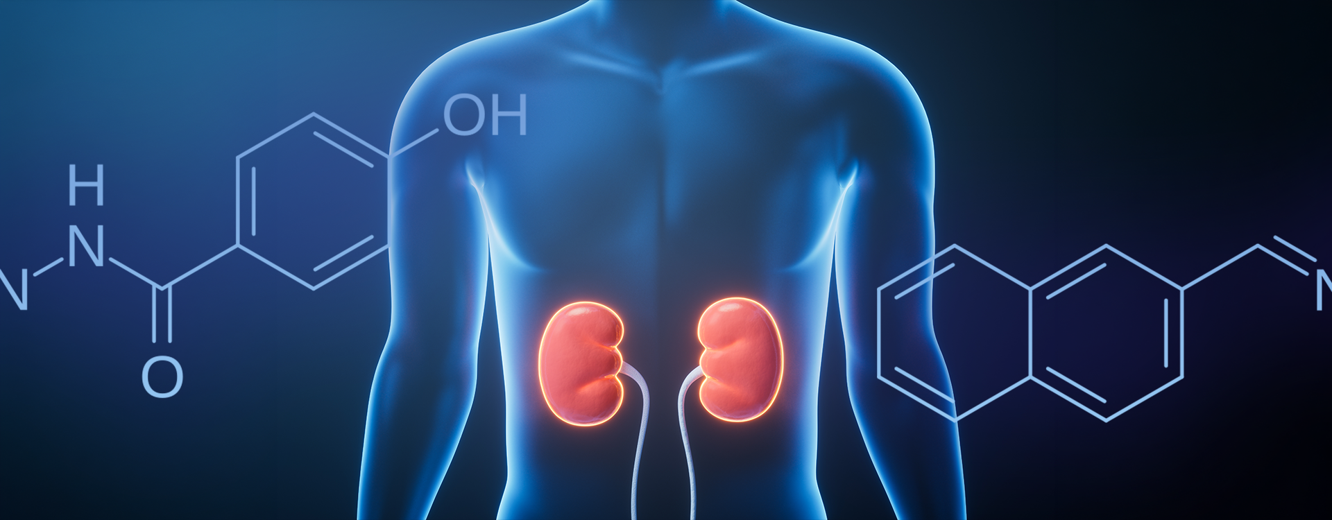 l carnitine and berberine supplement Combining Berberine and L-Carnitine can be beneficial for weight  management, metabolism, and overall health. Berberine may improve insulin  sensitivity, lower blood sugar, and support weight loss, while L-carnitine  helps the body use