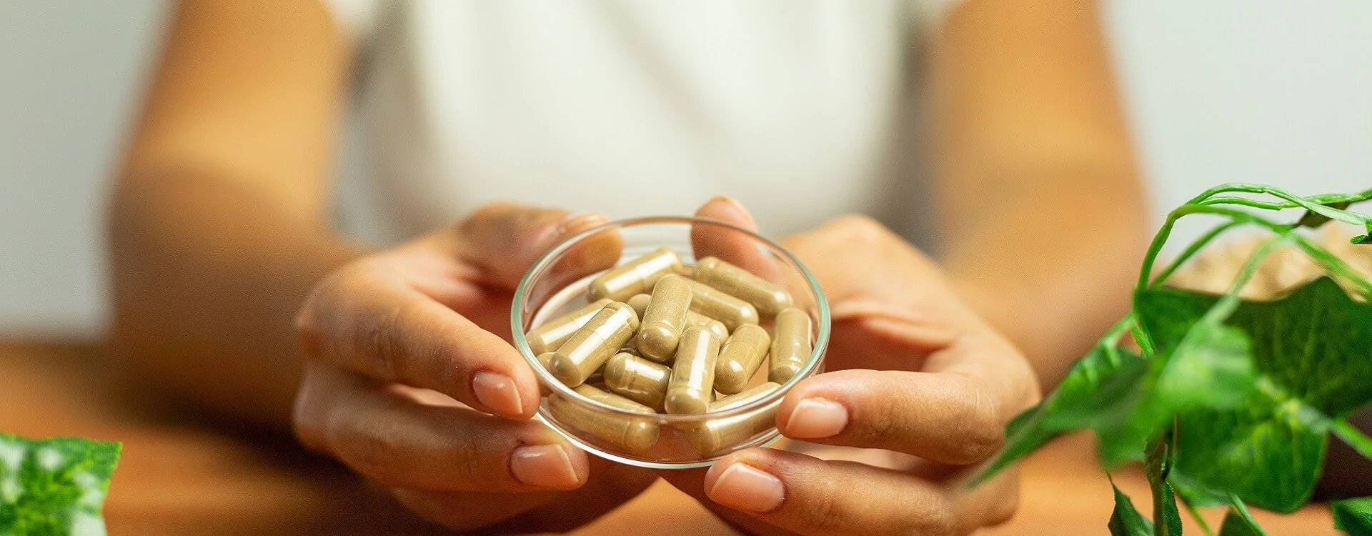 Ashwagandha: l’erba adattogena per ridurre lo stress e migliorare l'umore