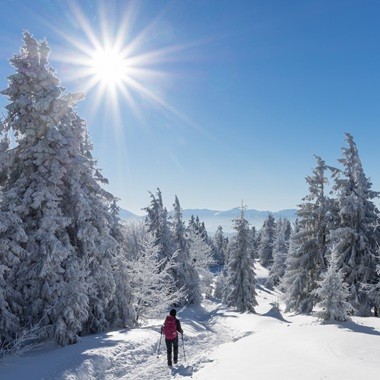 Hogyan változik a tápanyagigény télen? Sportteljesítmény és immunerő fenntartása hideg hónapokban