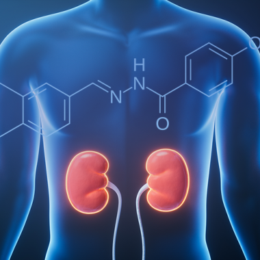 Inflammation is not the cause, it't's the symptom. The kidney study that proves it.