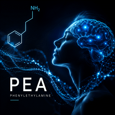 Die Wahrheit über PEA – Der beliebteste Liebesmythos der Wissenschaft widerlegt