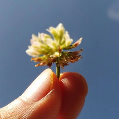 Alergia pod kontrolą - poznaj naturalne sposoby na wsparcie bariery ochronnej