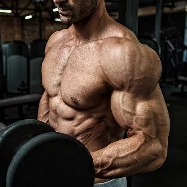 Ligandrol et développement musculaire : que montrent les études scientifiques ?